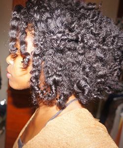 CurlyNikki's New Twist-n-Curl Regimen