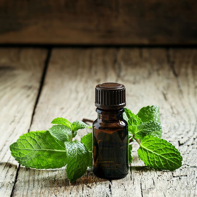 Why You Should Try Peppermint Oil For Your Hair This Winter |  NaturallyCurly.com