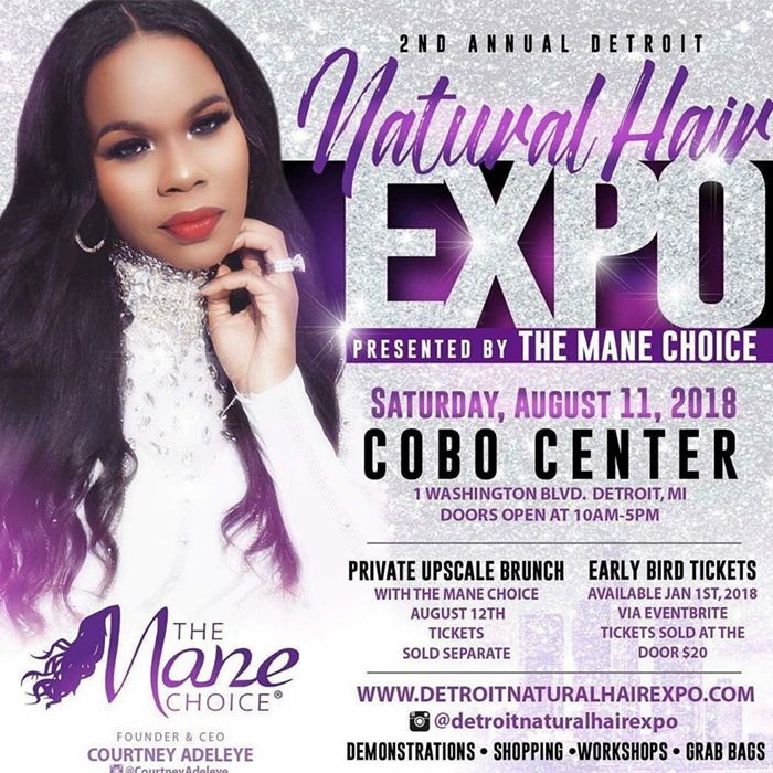 Detroit Natural Hair Expo