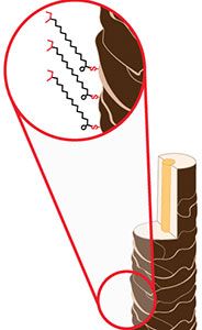 Your 18-MEA Cuticle Layer: Once It's Gone, There's No Turning Back
