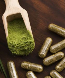 Wheatgrass Isn't Overrated--Here Are 13 Reasons Why