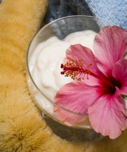 Laila’s SheaBiscus Rainforest Deep Treatment