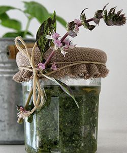 3 DIY Herbal Hair Tonics for Spring
