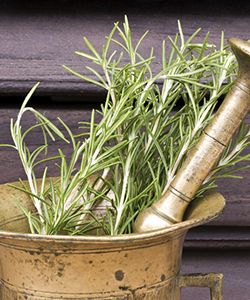 4 Ways to Use Rosemary for Hair Growth