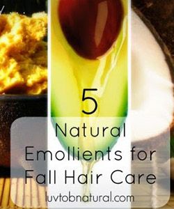 5 Ultimate Butters and Oils for Winter