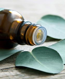 5 Remedies for Itchy Scalp