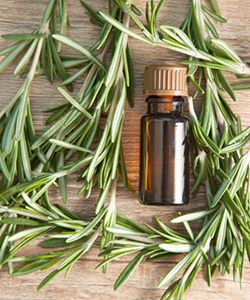 Top 10 Shampoos with Rosemary