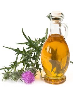 Milk Thistle Oil, Natural Sunscreen for Your Hair & Skin