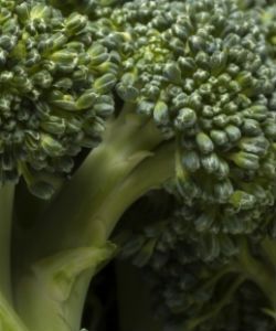 4 Ways Broccoli Will Help Your Curly Hair Journey