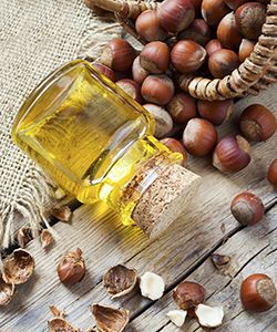 Benefits of Hazelnut Oil for Moisture Retention