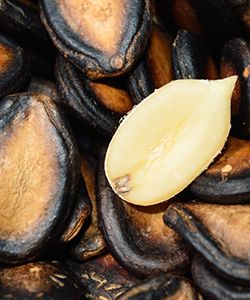 Benefits of Watermelon Seeds for Hair