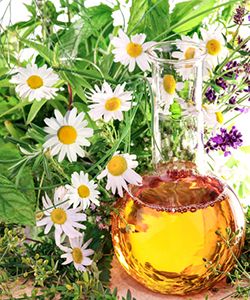 10 Reasons Your Hair Loves Oils