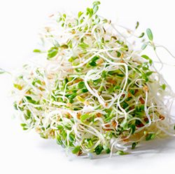 A Nutrient Rich Sprout for Hair Growth