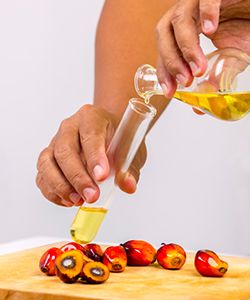 Which is Best for Your Hair, Red Palm Oil or Palm Kernel Oil?