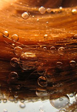 Everything You Need to Know About Hair Porosity