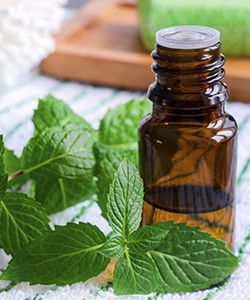 Why Peppermint Oil is a Powerhouse for Your Hair