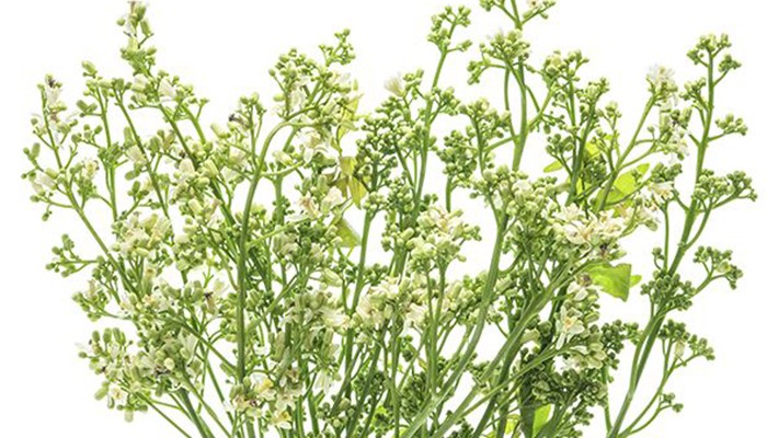 60 Neem-700