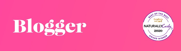 blogger-2