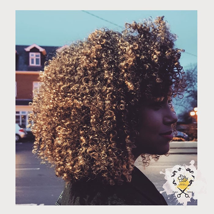 frizz 6