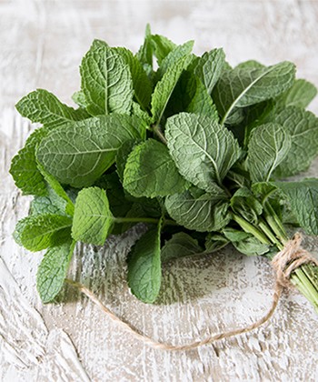 Top 5 Hair and Body Products Containing Mint