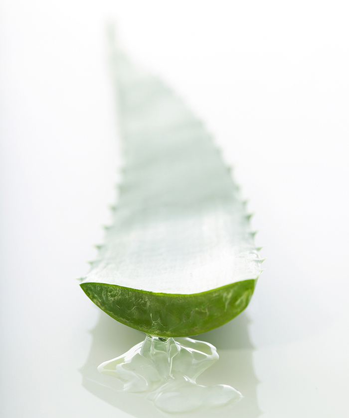 Top 10 Ingredients to Look For in Natural Hair Products