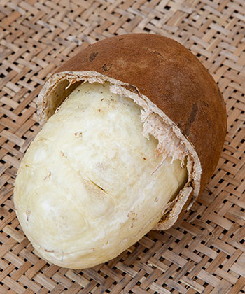Cupuacu Butter for Natural Hair: Why You Need to Try It